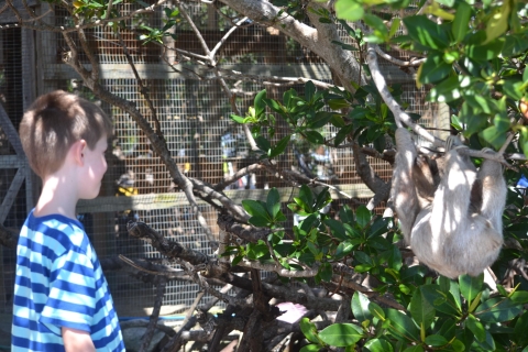 Roatan: Wycieczka po tunelu Mangrove z nurkowaniemGoście rejsu Coxen Hole