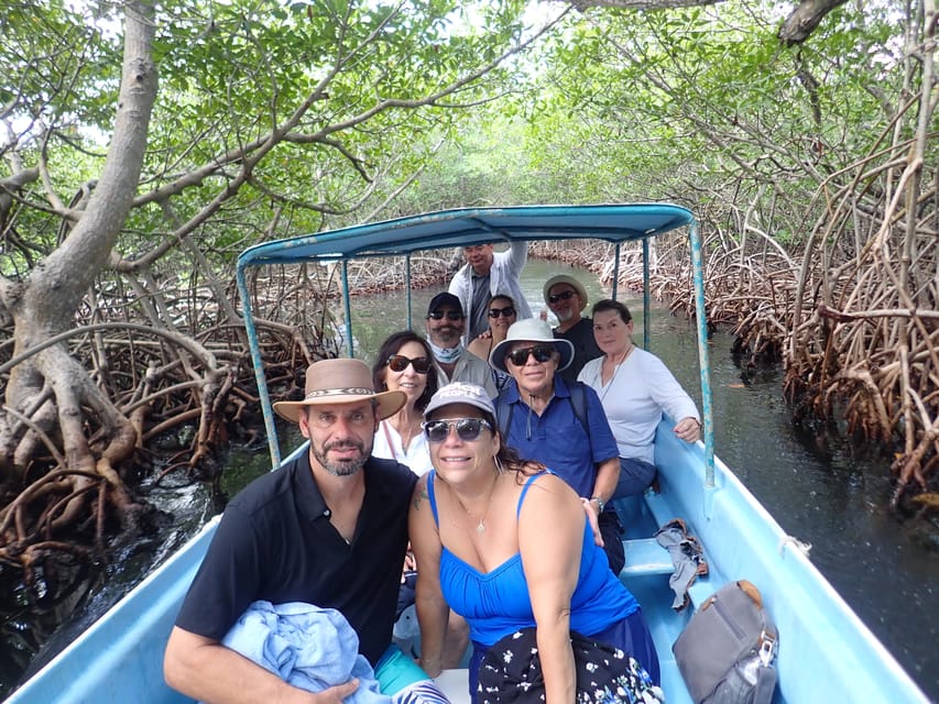 Roatan: Mangrove Tunnel Tour with Snorkeling | GetYourGuide