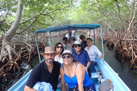 Roatan: visite du tunnel de la mangrove avec plongée en apnéeInvités de la croisière Mahogany Bay