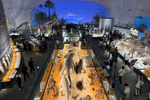 World-Class Dinosaur Museum Tour from Kanazawa