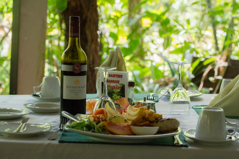 Desde Cairns: tour privado del Parque Nacional Daintree