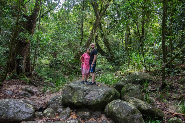 Z Cairns: prywatna wycieczka po parku narodowym Daintree