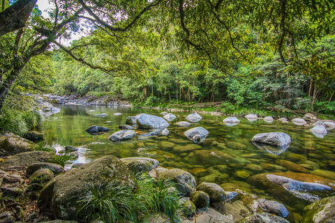 De Cairns: visite privée du parc national Daintree