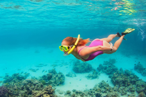 Ibiza: Formentera Tour with Meals Water Activity & Open Bar