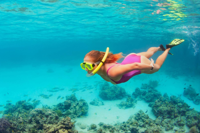 Ibiza: Formentera Tour with Meals Water Activity & Open Bar