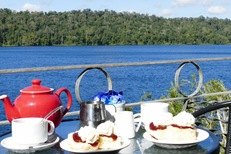 From Cairns: Full-Day Birdwatching Excursion