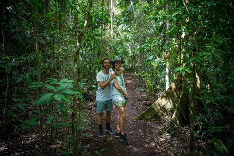 From Cairns: Full-Day Birdwatching Excursion