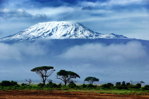 From Arusha: Mount Kilimanjaro Day Trip Hike