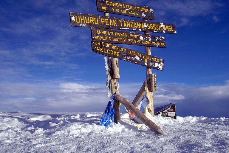 From Arusha: Mount Kilimanjaro Day Trip Hike