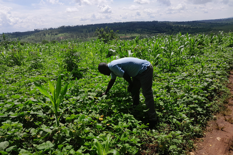 Besök Rwanda Tour