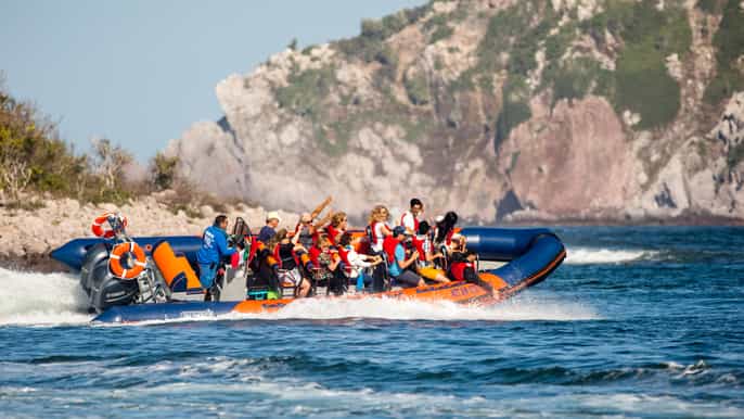 mazatlan ten islands boating expedition
