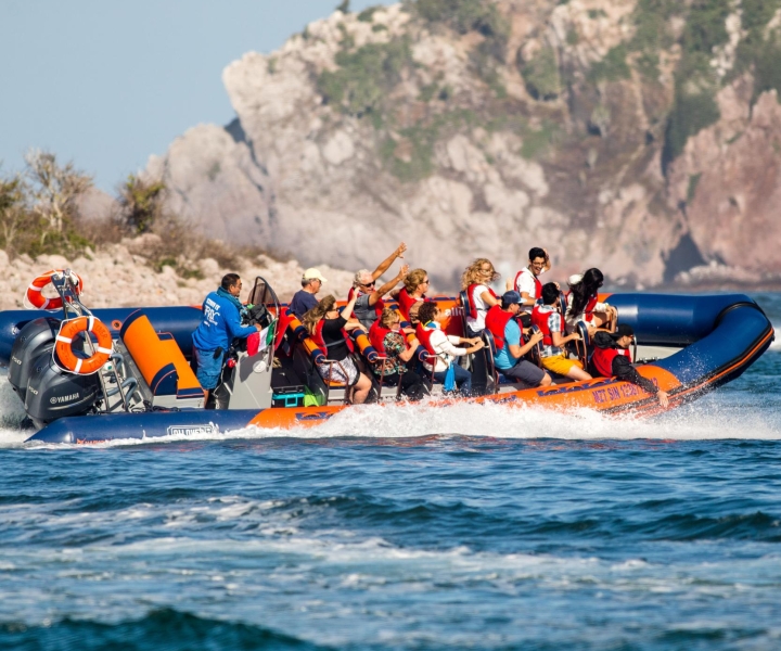 Mazatlan: Wyprawa łodzią na Dziesięć Wysp