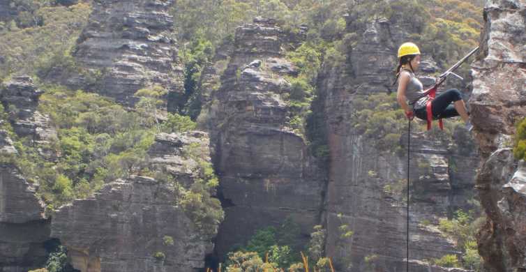 Blue Mountains Abseiling or Canyoning Experience