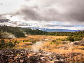Excursion dans les parcs nationaux au départ de Waikoloa