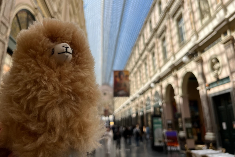 Brussels Night Tour by Car