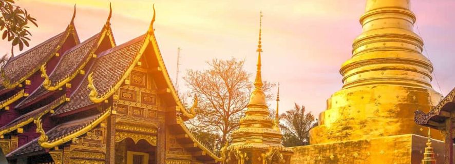 Chiang Mai: avondtocht van 4 uur naar Wat Umong & Doi Suthep