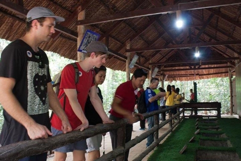 Ho Chi Minh City: Half-Day Tour of Cu Chi Tunnel AM tour pick up