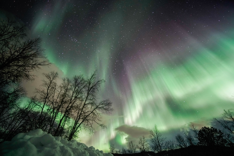 Au départ de Tromsø : Excursion aux aurores boréalesTromsø : chasse aux aurores boréales