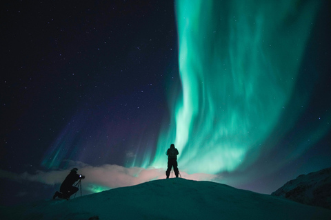 Desde Tromsø: Excursión a la Aurora BorealTromsø: tour de la aurora boreal