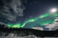 From Tromsø, Aurora Borealis Tour - Housity