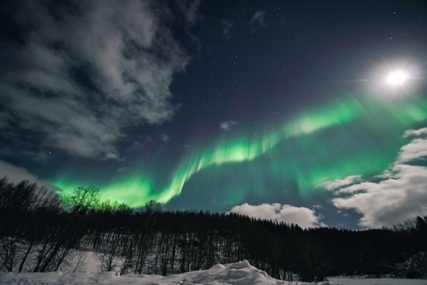 Au départ de Tromsø : Excursion aux aurores boréalesTromsø : chasse aux aurores boréales