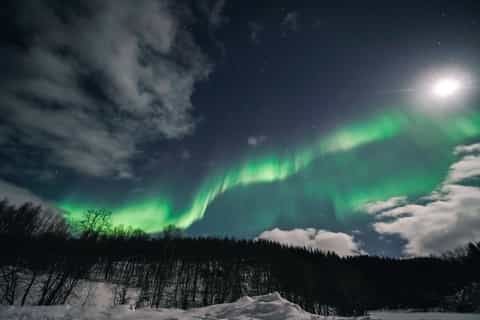 From Tromsø: Aurora Borealis Tour