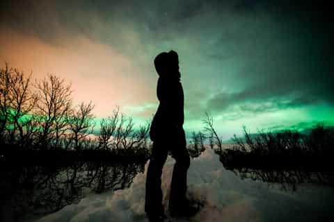 From Tromsø: Aurora Borealis Tour