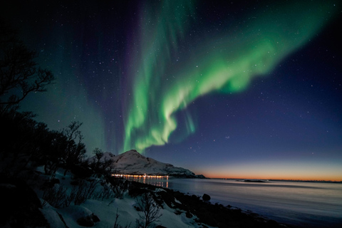 Au départ de Tromsø : Excursion aux aurores boréalesTromsø : chasse aux aurores boréales