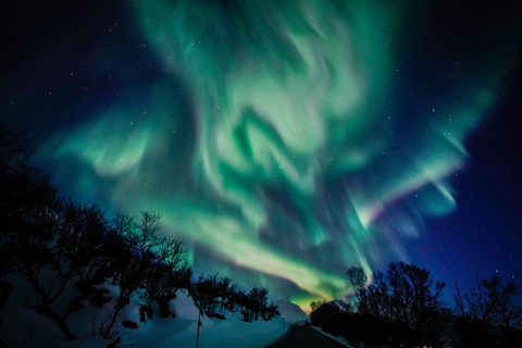 Z Tromsø: Aurora Borealis TourTromsø: wycieczka ku zorzy polarnej