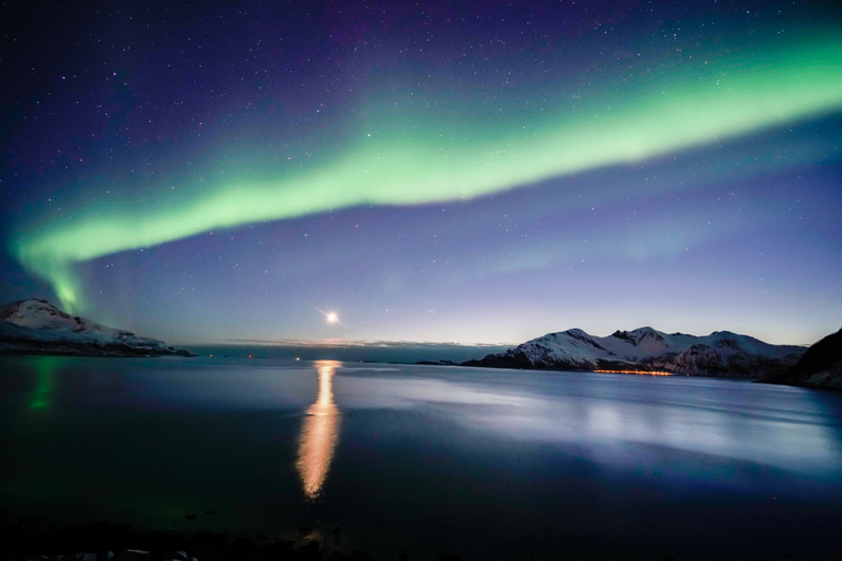 Au départ de Tromsø : Excursion aux aurores boréalesTromsø : chasse aux aurores boréales