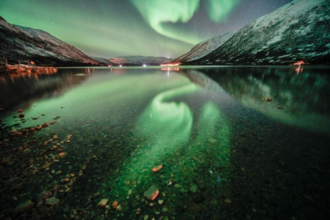 Vanuit Tromsø: Noorderlicht TourTromsø: excursie aurora borealis (noorderlicht)