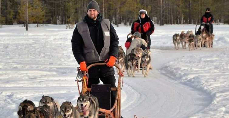ventil Picket holdall Sirkka: Husky Sled Ride in Levi | GetYourGuide