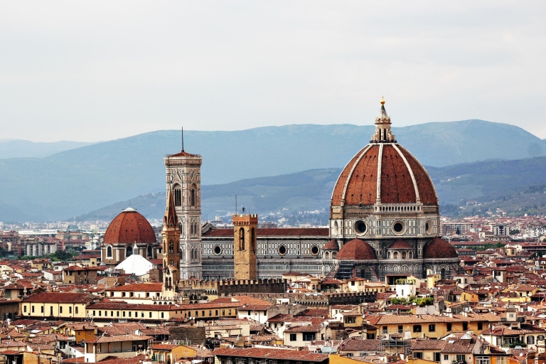 Florencia: tour en grupos pequeños por la academia y el David de Miguel Ángel