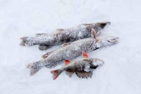 Levi: pesca sul ghiaccio in motoslitta