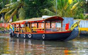 From Kochi Port: Backwater Canoe and Fort Kochi Tour