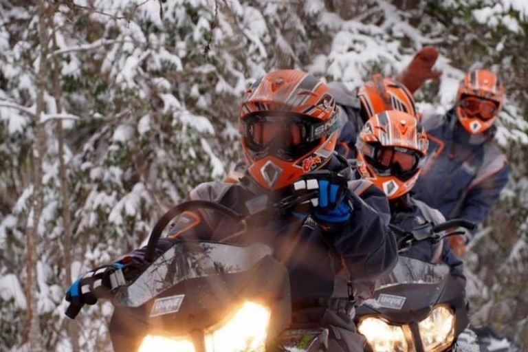 Desde Sirkka: Safari de motos de nieve en Laponia en Levi