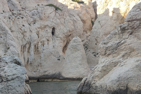 Marseille : Croisière vers l'île du Frioul et le Château d'If