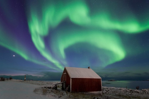 Levi: caça à aurora boreal, incluindo lanches para fogueira