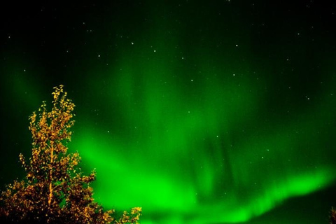 Levi: caça à aurora boreal, incluindo lanches para fogueira