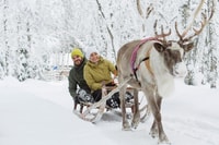Levi, Laponie et Husky Safari - Hizvo