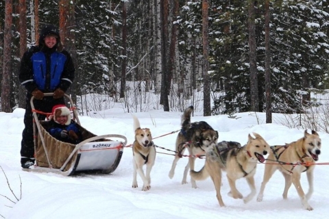 Levi: Safari de renos y huskys en Laponia