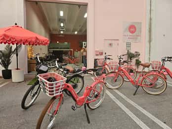 Palm Beach: 3 Stunden geführte Elektrofahrrad-Tour