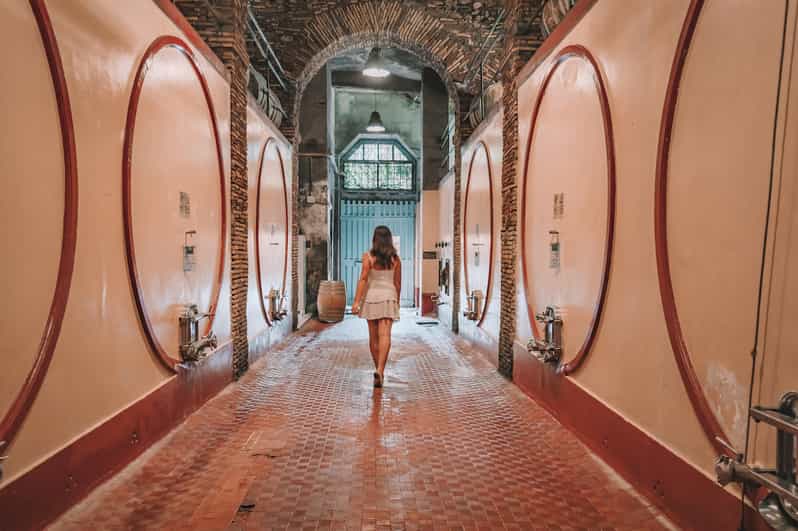 From Rome Food & Wine Tasting in a Medieval Cellar GetYourGuide