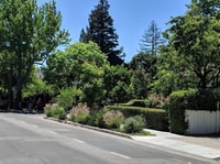 San Francisco, Silicon Valley Private Tour - Housity