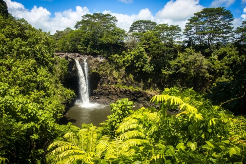 Hawaï : visite guidée privée en van