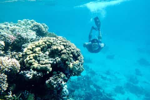 Van Marsa Alam: dagtrip naar Sharm El Luli en Wadi El Qulan