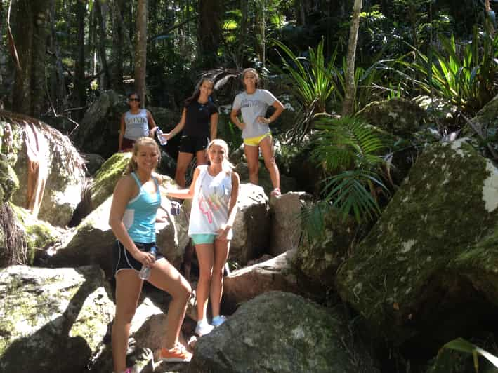 Nightcap National Park Hiking Tour, Byron Bay