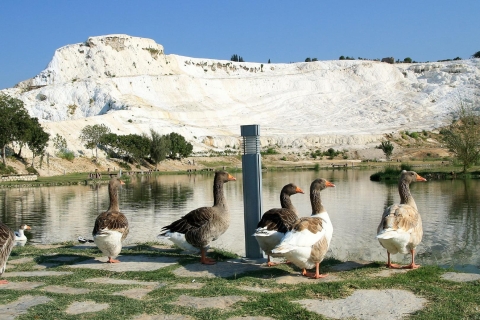 Pamukkale und Hierapolis: Private oder Gruppen-TagestourPrivate Tour