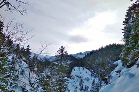 desde zakopane caminata por el país de las maravillas de invierno y recorrido por la ciudad
