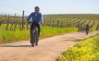 Da Città del Capo, tour e-bike di mezza giornata Winelands - Housity
